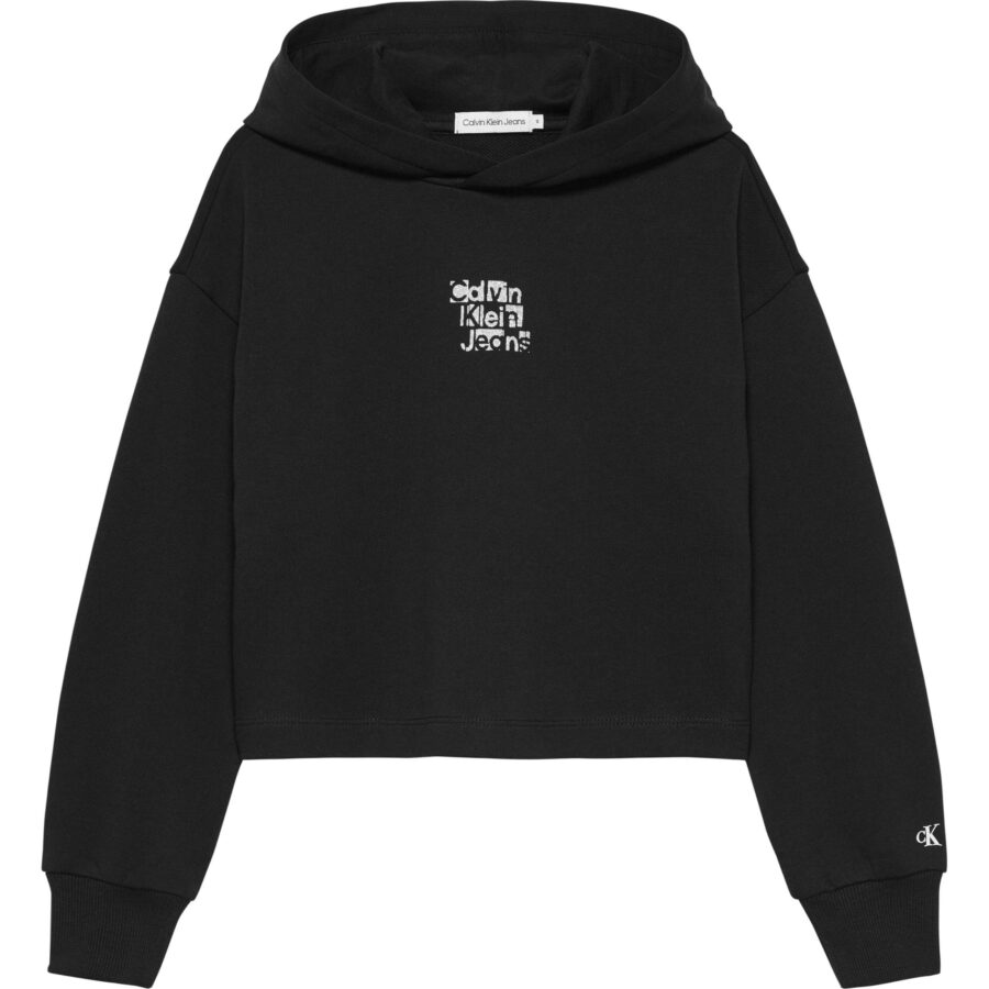 Ck Ig0ıg02304 Metallıc Ckj Back Logo Hoodıe Kız Çocuk Sweatshırt - Görsel 2