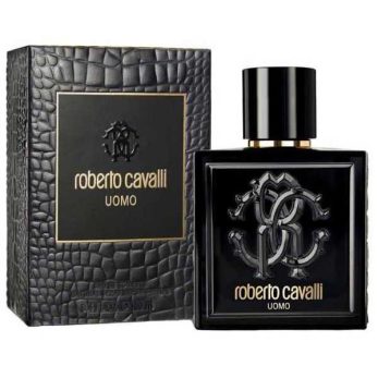 Roberto Cavallı Uomo 100ml Edt