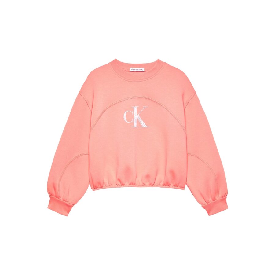 ck-ig0ig02414-iridescent-ck-logo-cn-kiz-cocuk-sweatshirt-46210.jpg Ck Ig0ıg02414 Irıdescent Ck Logo Cn Kız Çocuk Sweatshırt - Görsel 5