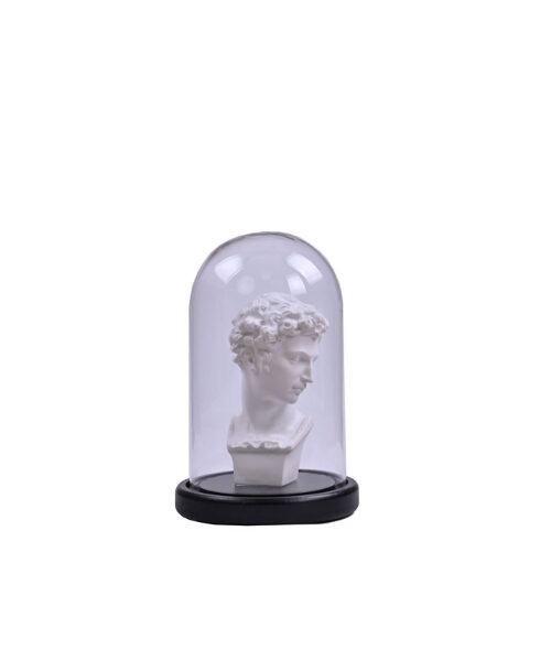1bos-194057 Davıd Bust In Fanus 14x14x22cm