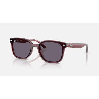 Rayban 0rb4461d 65937364 Unısex Gözlük