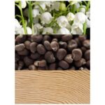 Calvın Kleın Beauty Woman 100 Ml Edp - STANDART - Görsel 3