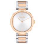 Calvin Klein Ck25200251 Kadın Kol Saati - STANDART