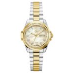 Gc Gcz53002l6 Kadın Kol Saati - ALTIN-GÜMÜŞ